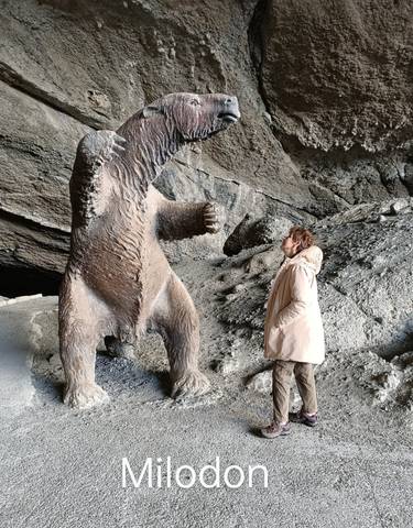 Person standing next to a large bear sculpture in a rocky cave.