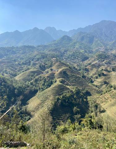 Terraced green fields in a hilly landscape.