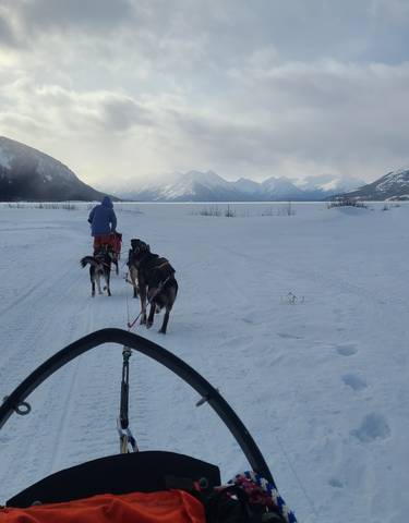 Dog sledding on snow-covered landscape with mountains.