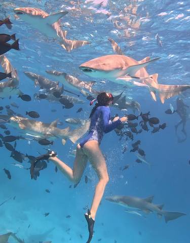 Woman swimming underwater with sharks and fish.