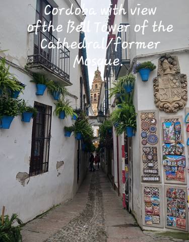 A narrow alleyway with blue flower pots and a distant tower.