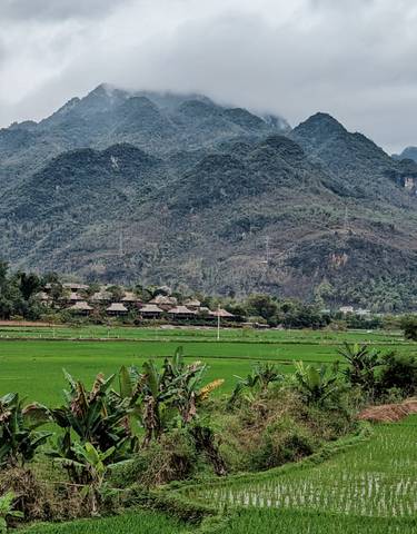 Beautiful landscape with green fields and a mountain range.