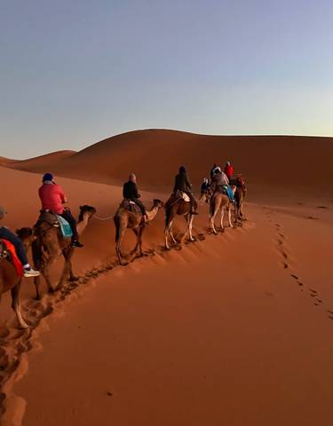 Camel caravan traveling through desert dunes.