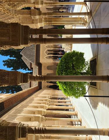 Ornate architectural courtyard with columns and a garden.