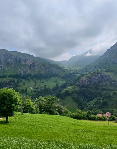 A lush green valley with mountains in the background.