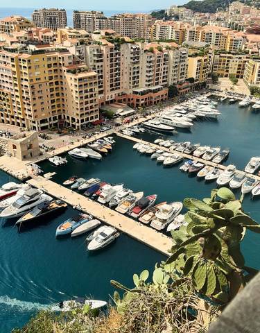 A scenic view of a luxury marina with many moored yachts.