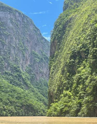 A narrow river canyon with lush greenery on the cliffs.