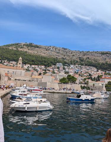 Harbor with boats and historic architecture.