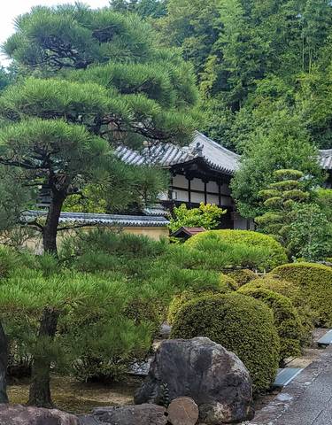 A traditional Japanese garden with a rock pathway and trimmed bushes.