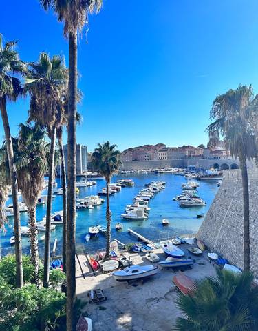 Scenic harbor view with boats and city in the background.