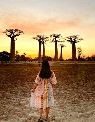 Person watching the sunset with baobab trees.