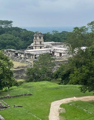 An expansive view of ancient temple ruins amidst jungle foliage.