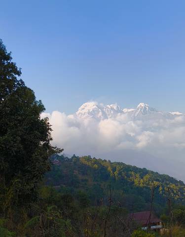 Snowy mountain peak emerging through the clouds.
