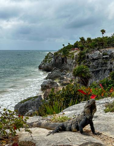 Cliffside with ocean waves and lush foliage.