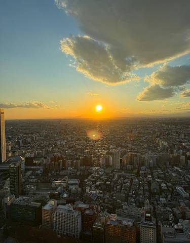 City sunset with the sun setting over the skyline.