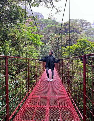 Person on a suspension bridge surrounded by lush forest.