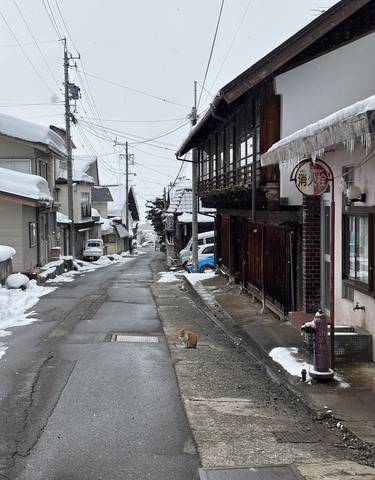 Snow-covered street in a traditional Japanese town with houses and a cat.