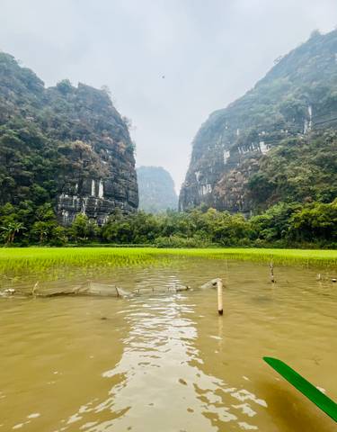 A lush valley with tall cliffs surrounding rice fields and water.