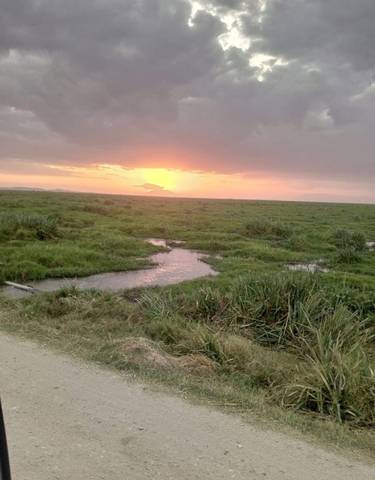 Sunset view over a grassy landscape with a waterway.