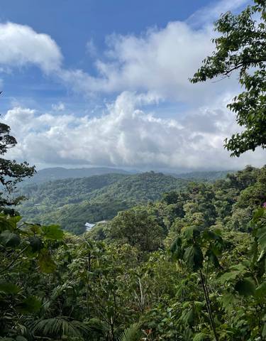 Scenic view of lush green hills and mountains under a cloudy sky.