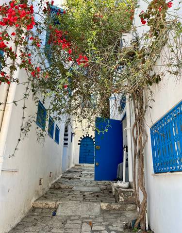 Blue and white alleyway with bougainvillea flowers.