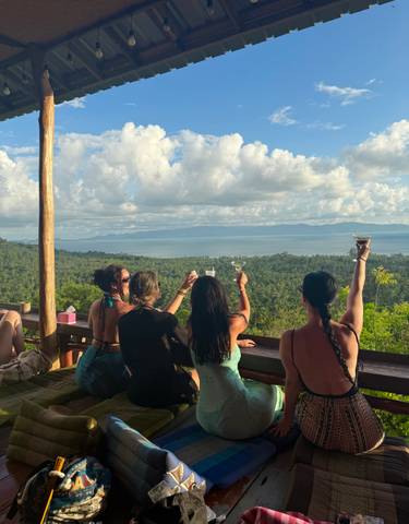 Group of people raising glasses overlooking a scenic landscape.