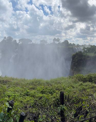 Victoria Falls with mist and lush greenery under cloudy sky.