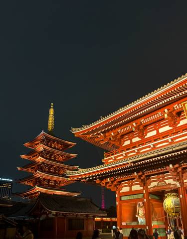 Illuminated pagoda and temple roof at night.