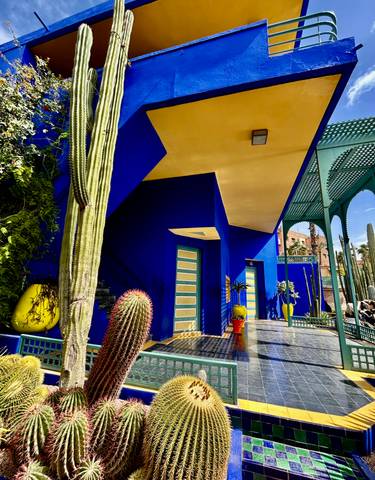 A colorful courtyard with cacti and vibrant walls in a garden setting.