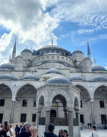 Architectural details of the Blue Mosque with domes.