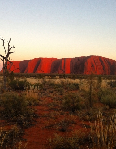 Sunset view of Uluru rock, Australia.