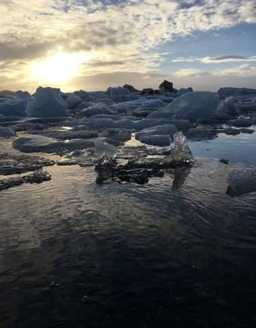 Icebergs floating in a serene body of water reflecting the sky.
