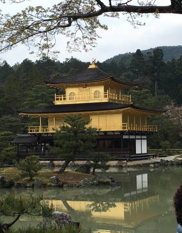 Golden temple with reflection in water under clear blue sky.