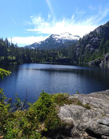 A scenic view of a lake surrounded by forest and mountains.