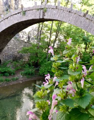Stone bridge over a river, surrounded by greenery and flowers.