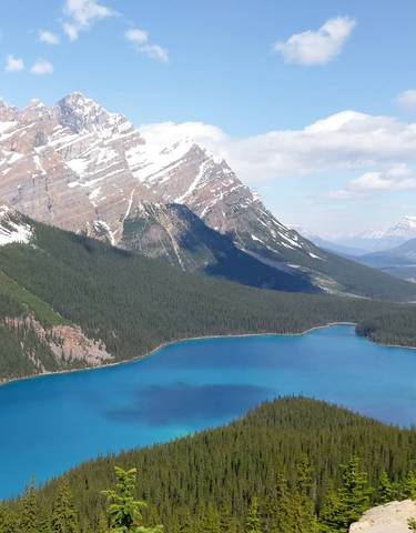 A mountain view with a blue lake surrounded by forests.