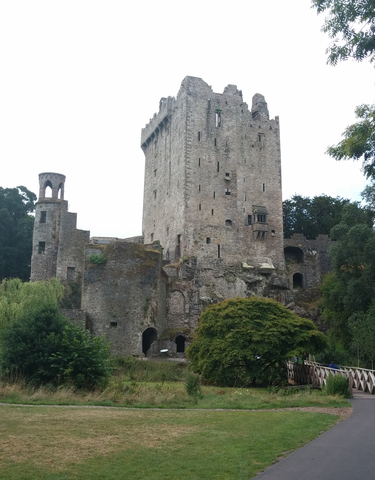 A robust castle structure with ruins and greenery surrounding it.