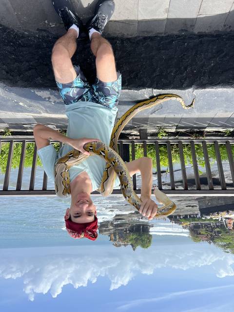      Person holding a large snake with a coastal view in the background.
  