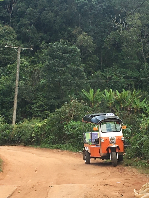 Tuk-tuk parked on the roadside in a forested area.