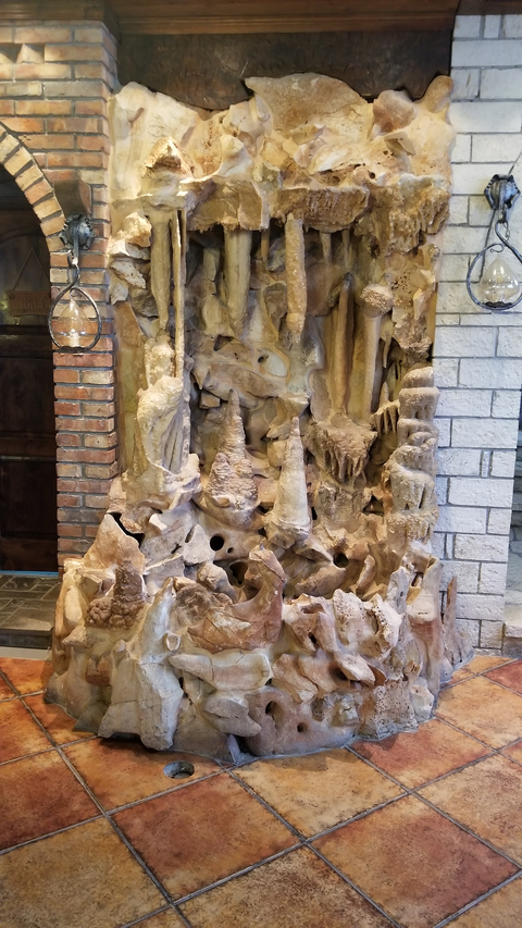       A rocky wall with intricate formations.
  