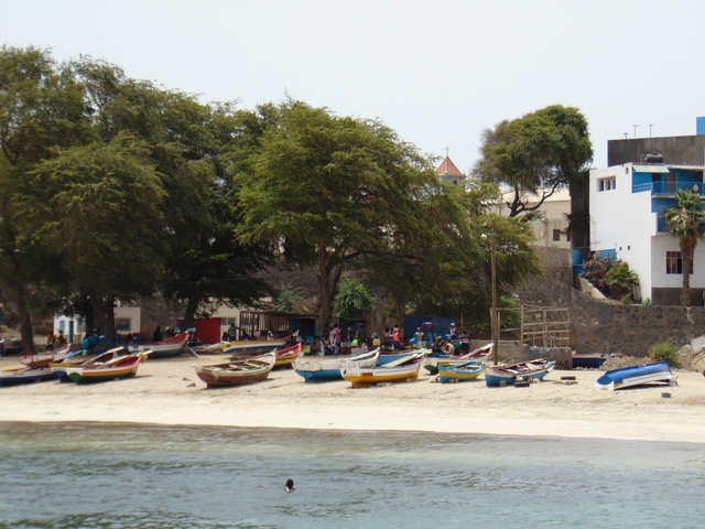       Beach with fishing boats and trees.
  