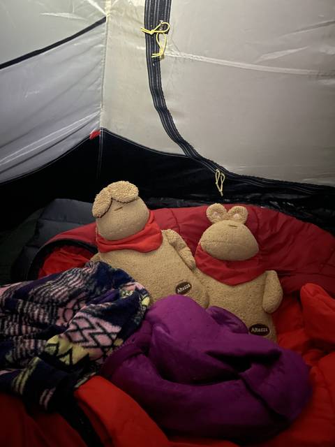 Stuffed toys inside a tent.