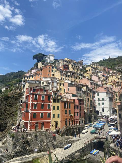 Colorful buildings on a hillside.