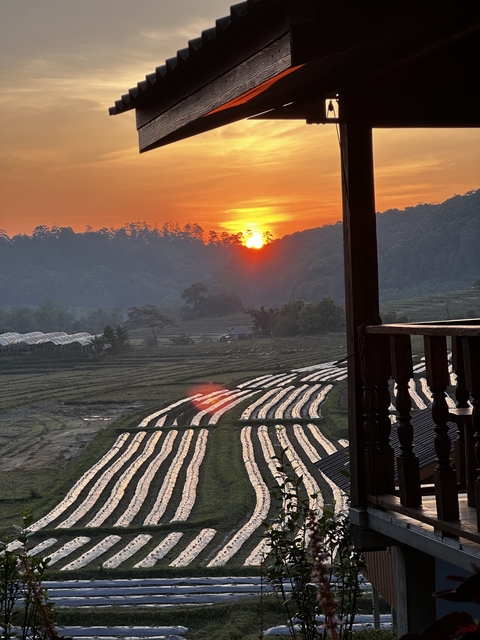 Sunset over cultivated fields with a silhouetted tree line.