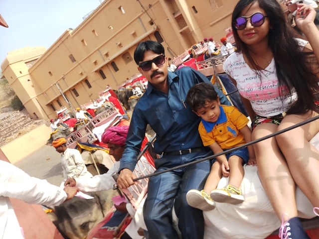 Family enjoying a scenic ride on an elephant.