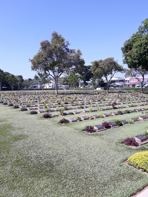       A serene cemetery with countless graves and trees.
  
