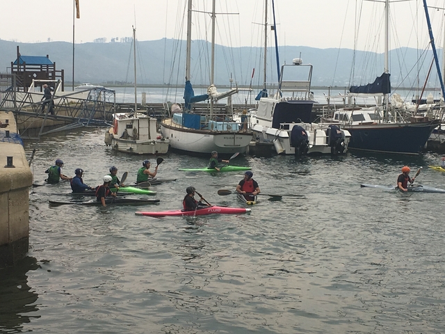 Group of people kayaking in a marina.