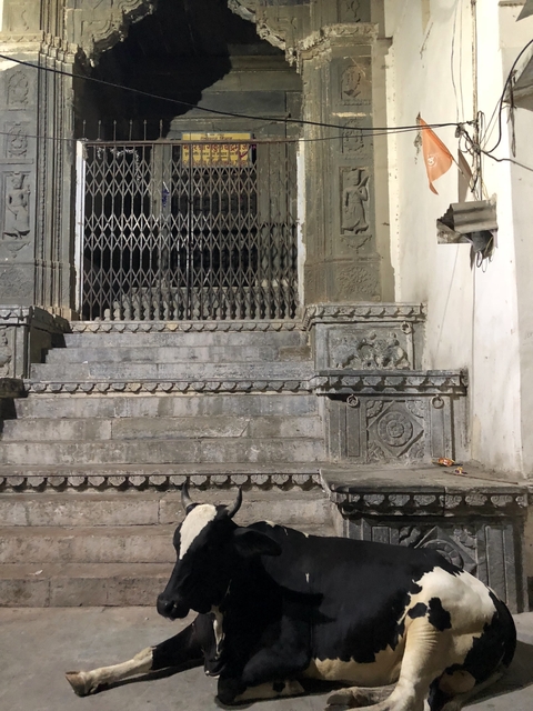       Stone staircase leading to a gated entrance.
  