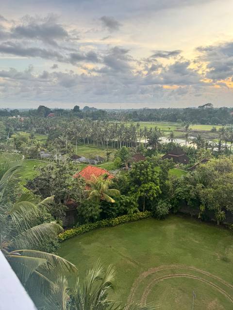       Aerial view of a rural landscape with rice fields.
  