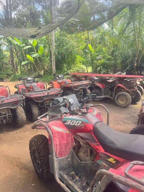       A row of all-terrain vehicles (ATVs) parked on a dirt path.
  